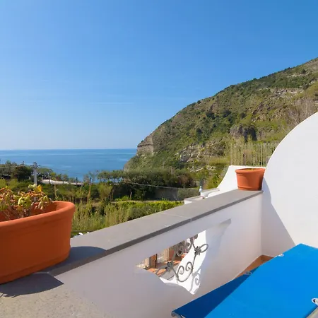 Fumerie Forio di Ischia