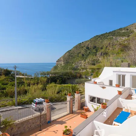 Fumerie Forio di Ischia